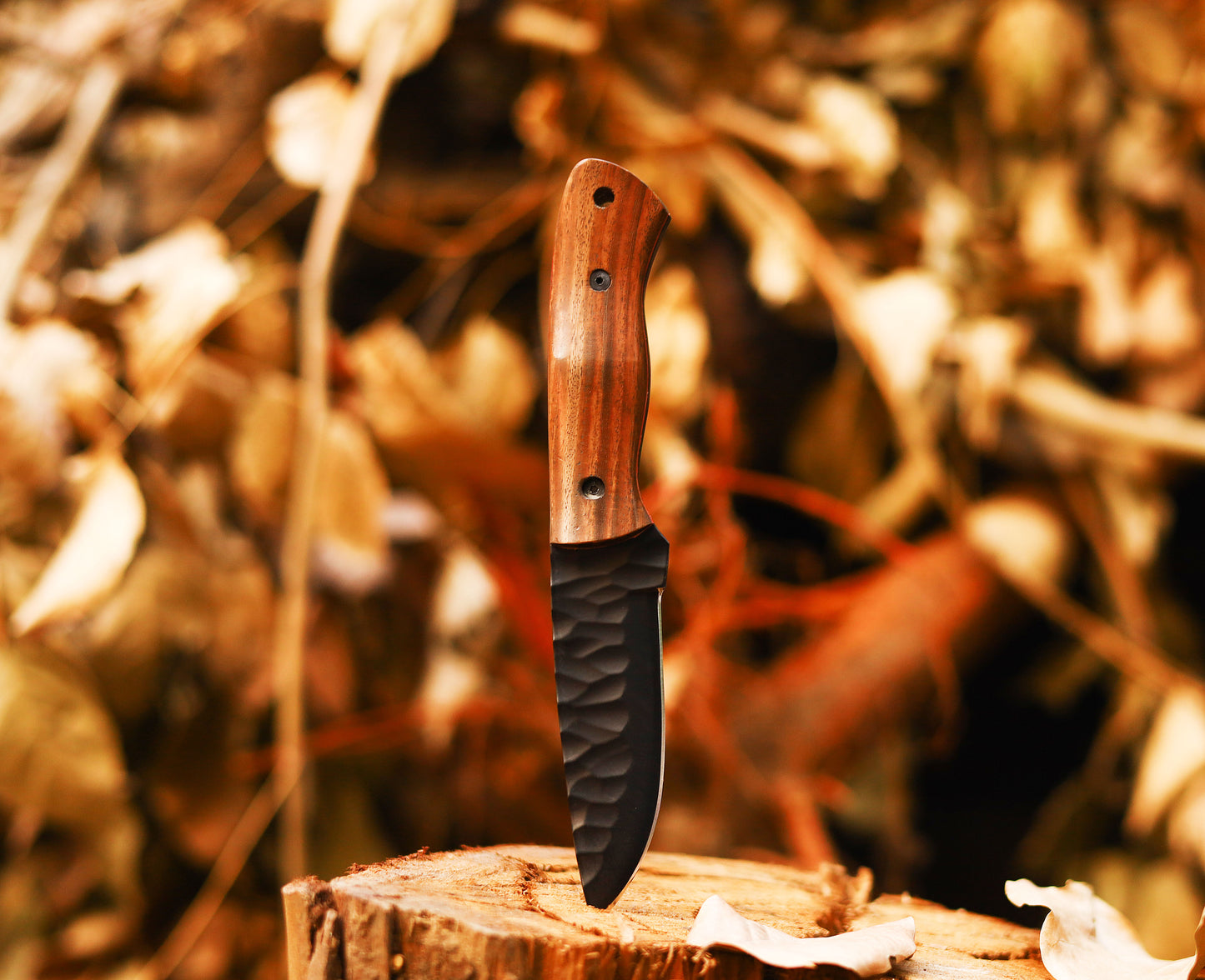 Handmade High Carbon Stainless Steel Hunting Skinner Knife – Professional Outdoor Tool with Leather Sheath | Only $55.78